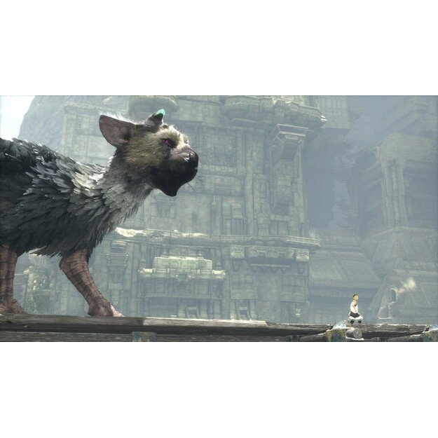 The Last Guardian
      
        - PlayStation 4 3
