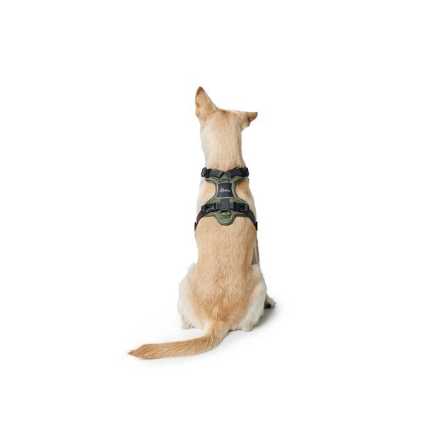 Hunter - Harness Divo L-XL, green/grey - (67594) 1