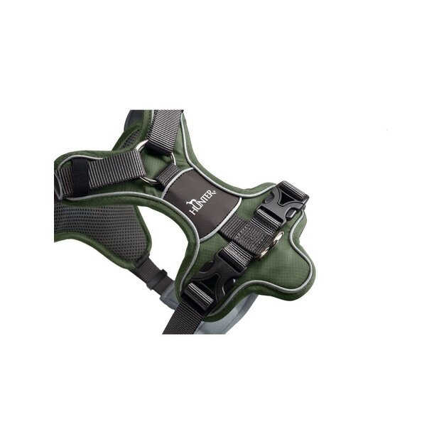 Hunter - Harness Divo L-XL, green/grey - (67594) 3
