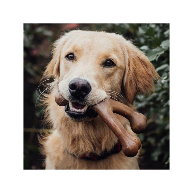 Benebone - Wishbone Bacon 21 cm - (854111004088) 5