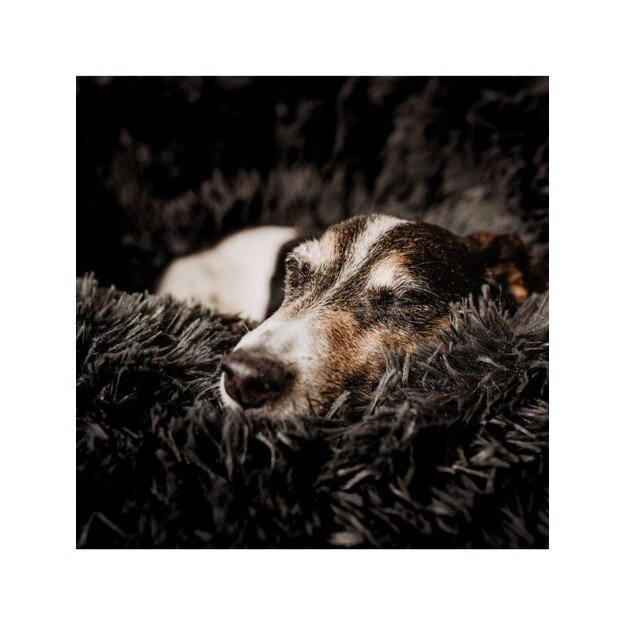 District70 - Fuzz Dog- and catbed, dark grey, Medium - (871720261392) 1