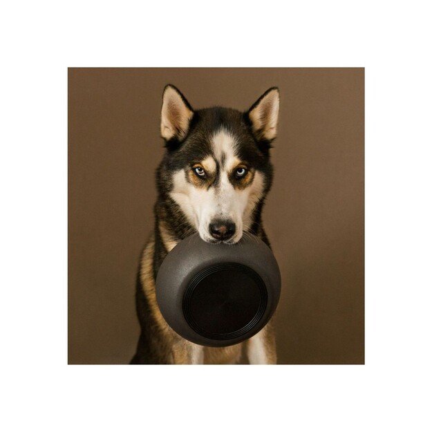 District70 -  BAMBOO Dog Bowl Large Dark Grey - (871720261397) 3