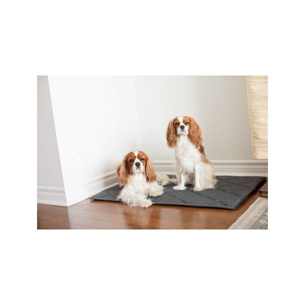 Beonebreed - Upturn memoryfoam dog pillow 119x73cm - (74022424359) 2