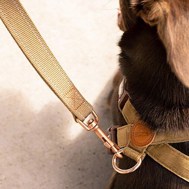 Ezydog - Leash Soft Trainer Corduroy Lite 12Mm X181Cm <20Kg - (605.0700) 1