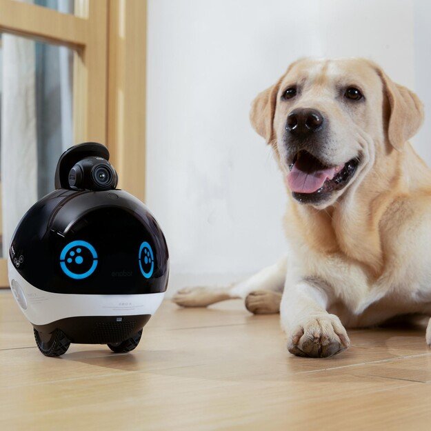 Enabot  - EBO X  Family and pet  Companion and Security Robot - (WH287303) 6