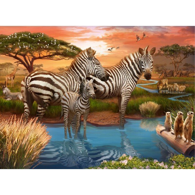 Ravensburger - Puzzle Zebras In Sunset 500p (12000365) 1