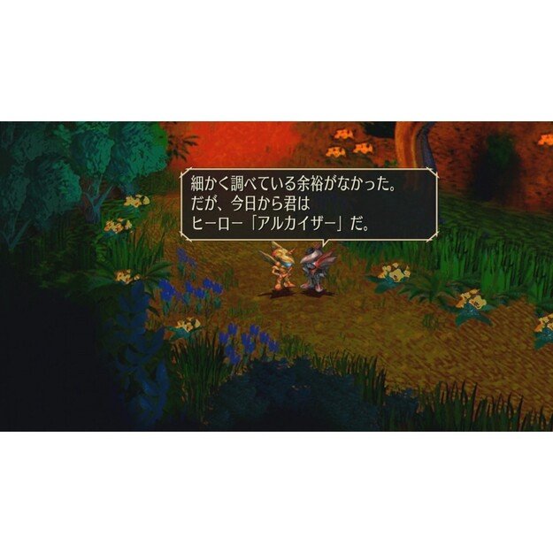 SaGa: Scarlet Grace Ambitions 
      
        - Nintendo Switch 5