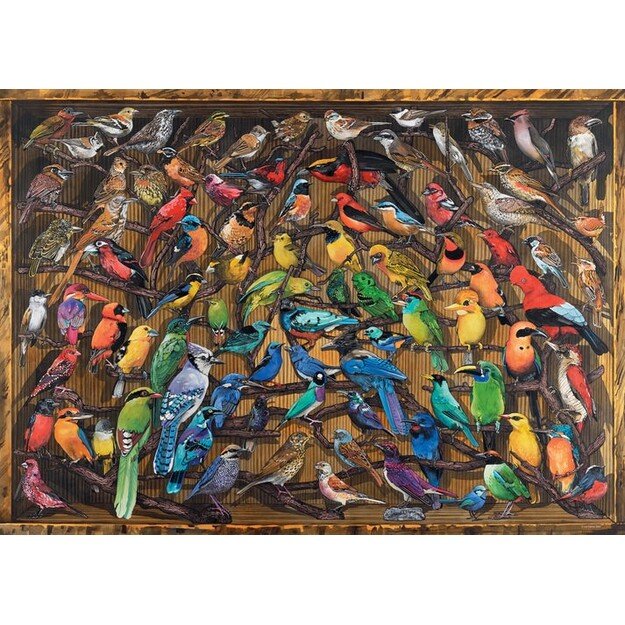 Ravensburger - Puzzle -  Rainbow of Birds 1000p (12000281) 2
