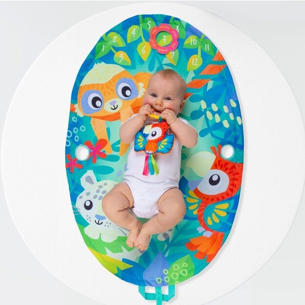 PLAYGRO - Mighty Milestones Play Gym (10188673) 1