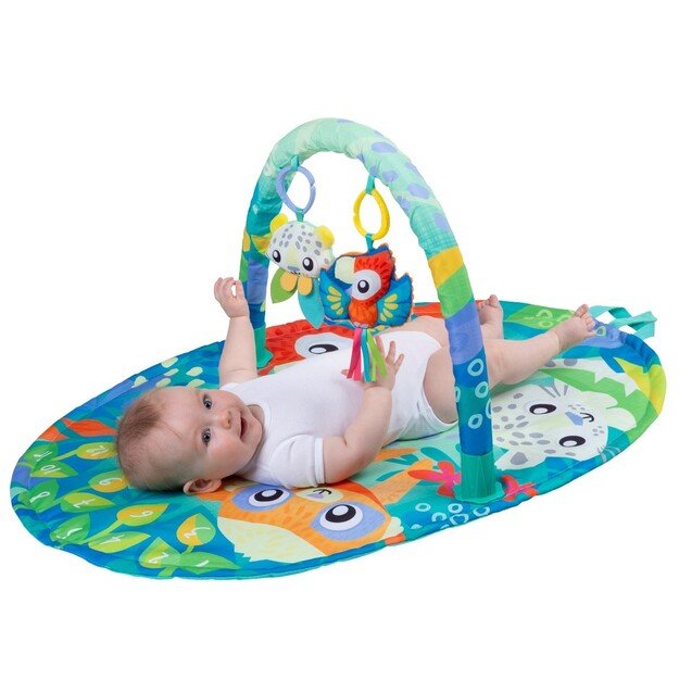 PLAYGRO - Mighty Milestones Play Gym (10188673) 3