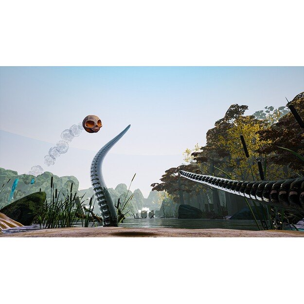 Skully
      
        - PlayStation 4 1