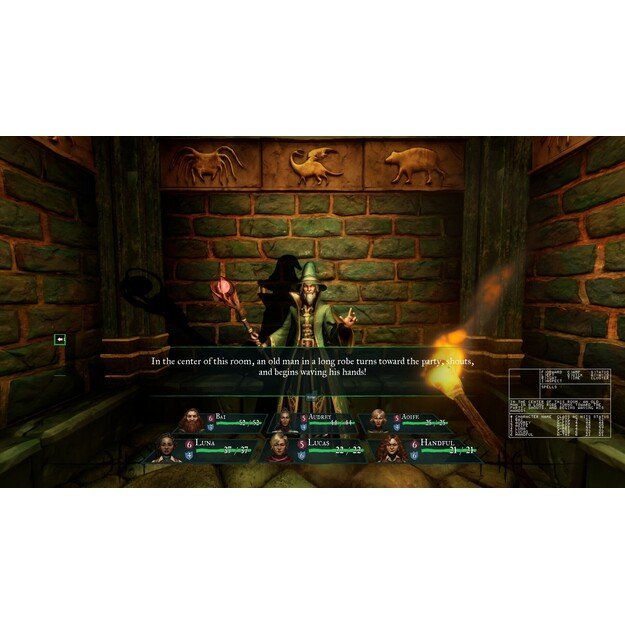 Wizardry: Proving Grounds of the Mad Overlord
      
        - Nintendo Switch 1