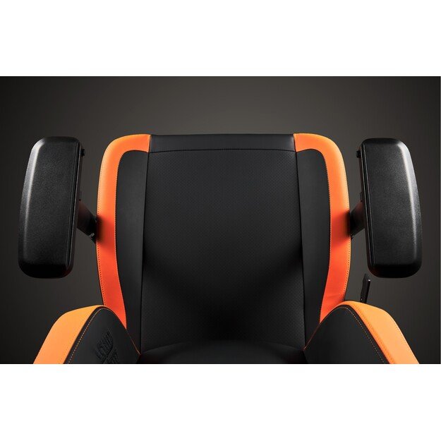 Apollon Collector / Dbz Shenron   black seat + gold/grey 7