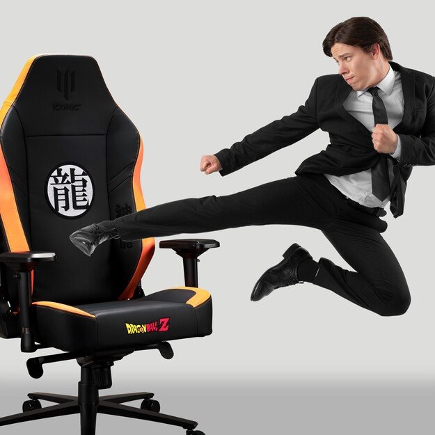 Apollon Collector / Dbz Shenron   black seat + gold/grey 9