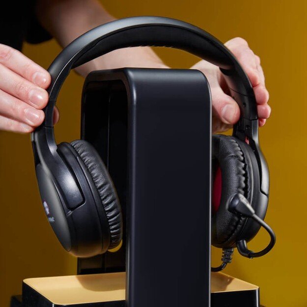 Numskull Official Hogwarts Legacy Light Locker 10