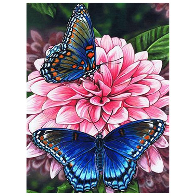 MALOWANIE PO NUMERACH OBRAZ Z RAMĄ  DIY ZESTAW PĘDZLE FARBY PŁÓTNO 30x40 1