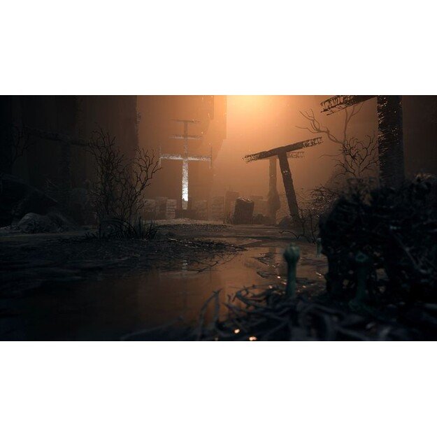 The Medium (Import)
      
        - PlayStation 5 2