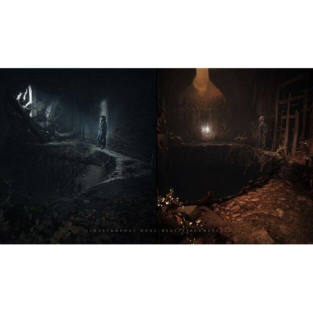 The Medium (Import)
      
        - PlayStation 5 4