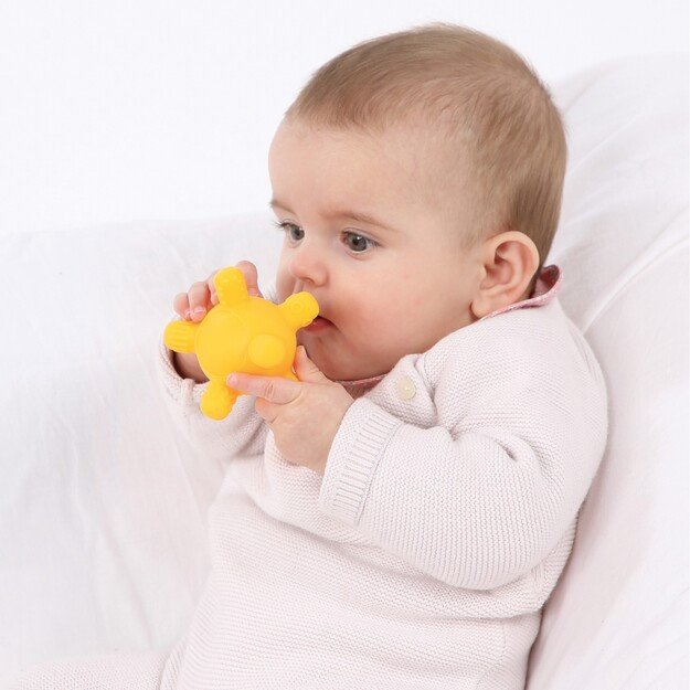 Ludi - Multi-ball Puzzle - (LU30065) 1