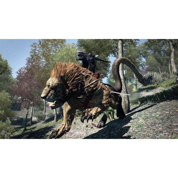 Dragon's Dogma: Dark Arisen Remaster
      
        - PlayStation 4 3