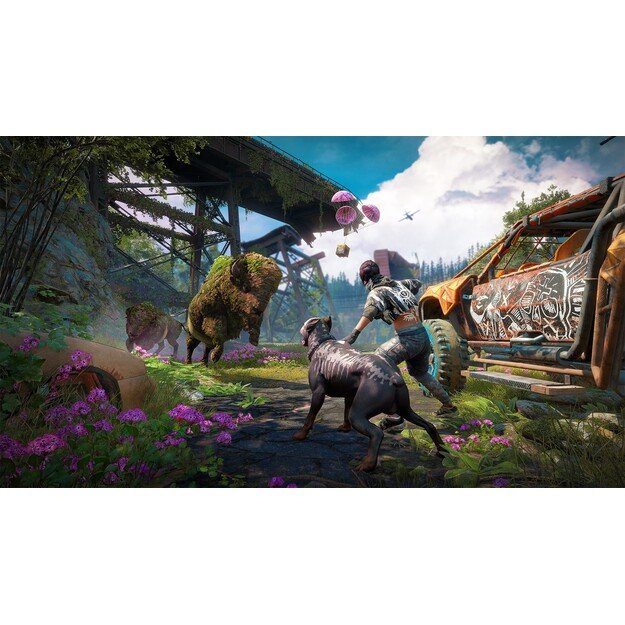 Far Cry - New dawn
      
        - PlayStation 4 4