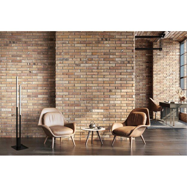 EGLO - Fraioli-Z floor lamp black - RGB + TW - Zigbee, Bluetooth 3