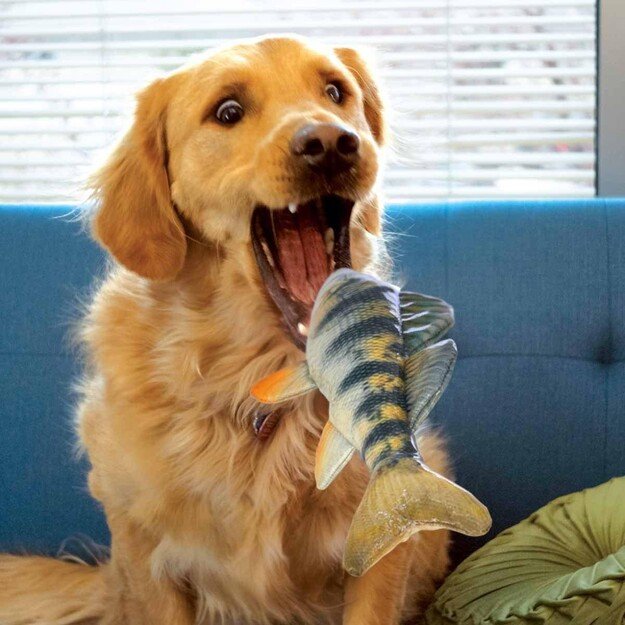 KONG - Wild Shieldz Perch M 28x7,5x5cm 1