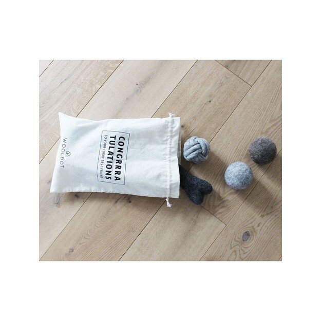 Wooldot - Dog Toy Gift Bag - 6 pcs - 25x40x10cm - (571400400486) 1