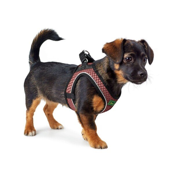 Hunter - Dog harness Hilo Comfort. M-L, rosa - (401673969794) 2