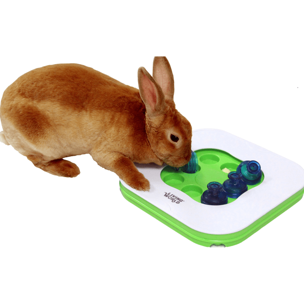 Living World - 3 In 1 Teach'N Treat - (530.0510) 1