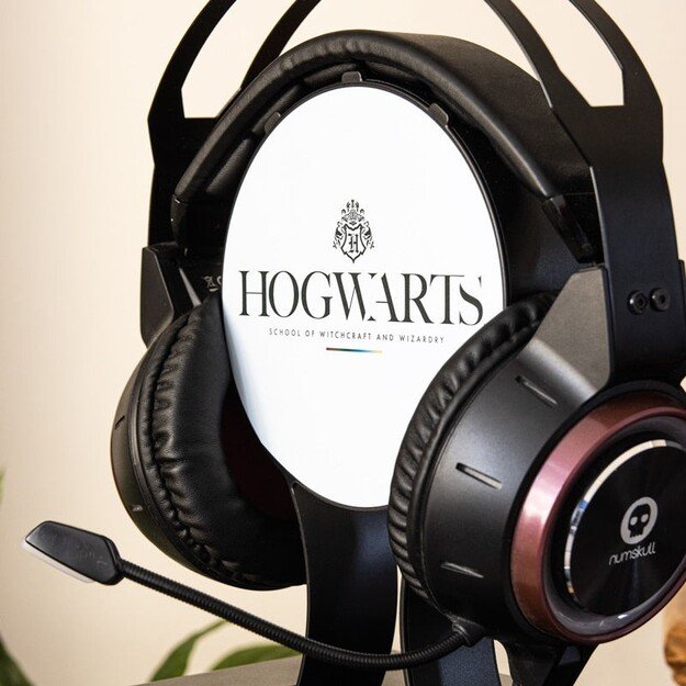 Numskull Official Harry Potter Gaming Locker 4