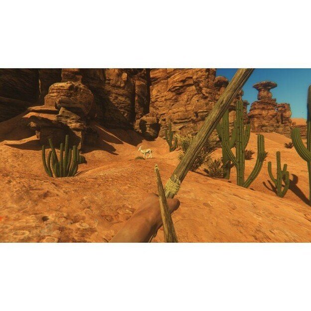 Starsand
      
        - PlayStation 4 2