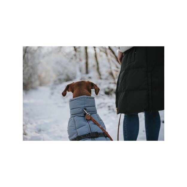 Hunter - Dogcoat Paxson Dachshund 36, blue - (203513) 2