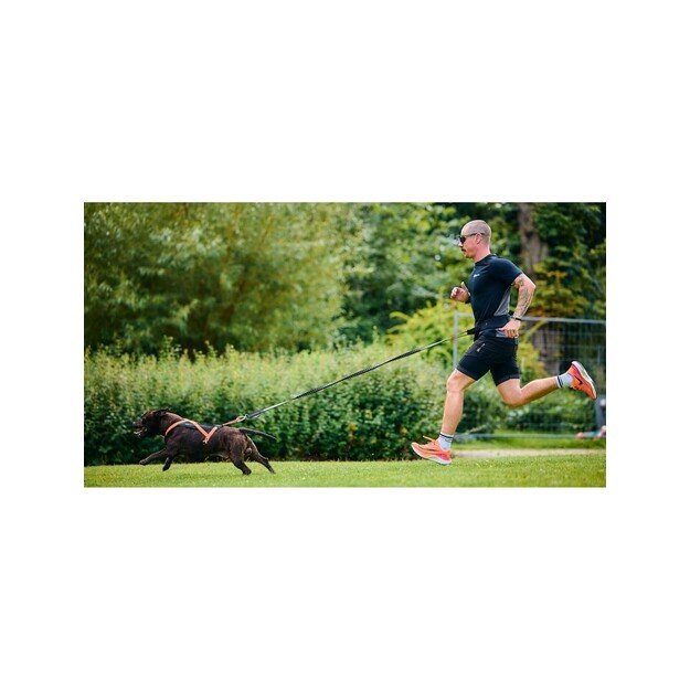 Non-Stop -Harness Rush - Black/Orange 3