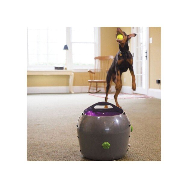 PetSafe - Automatic Ball Launcher 1