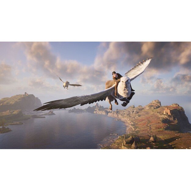 Hogwarts Legacy
      
        - Nintendo Switch 1