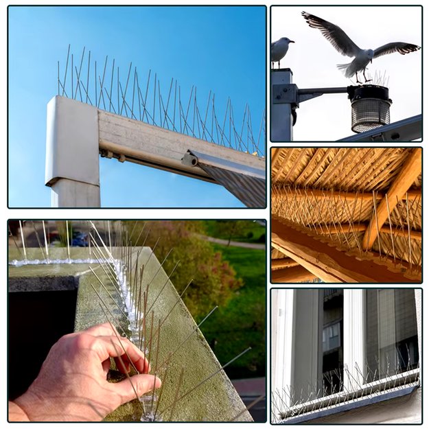 100 x METALOWE STALOWE NIERDZEWNE KOLCE NA PTAKI GOŁĘBIE WRÓBLE NA PARAPET GZYMS 50CM  17