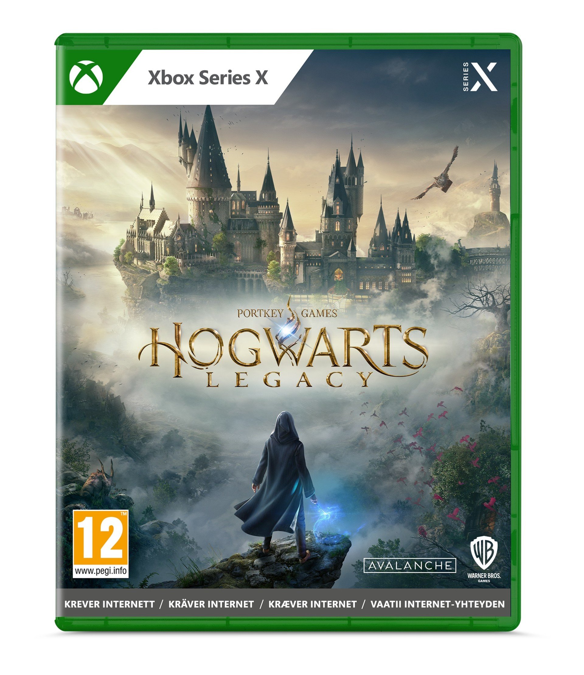 Hogwarts Legacy
- Xbox Series X
