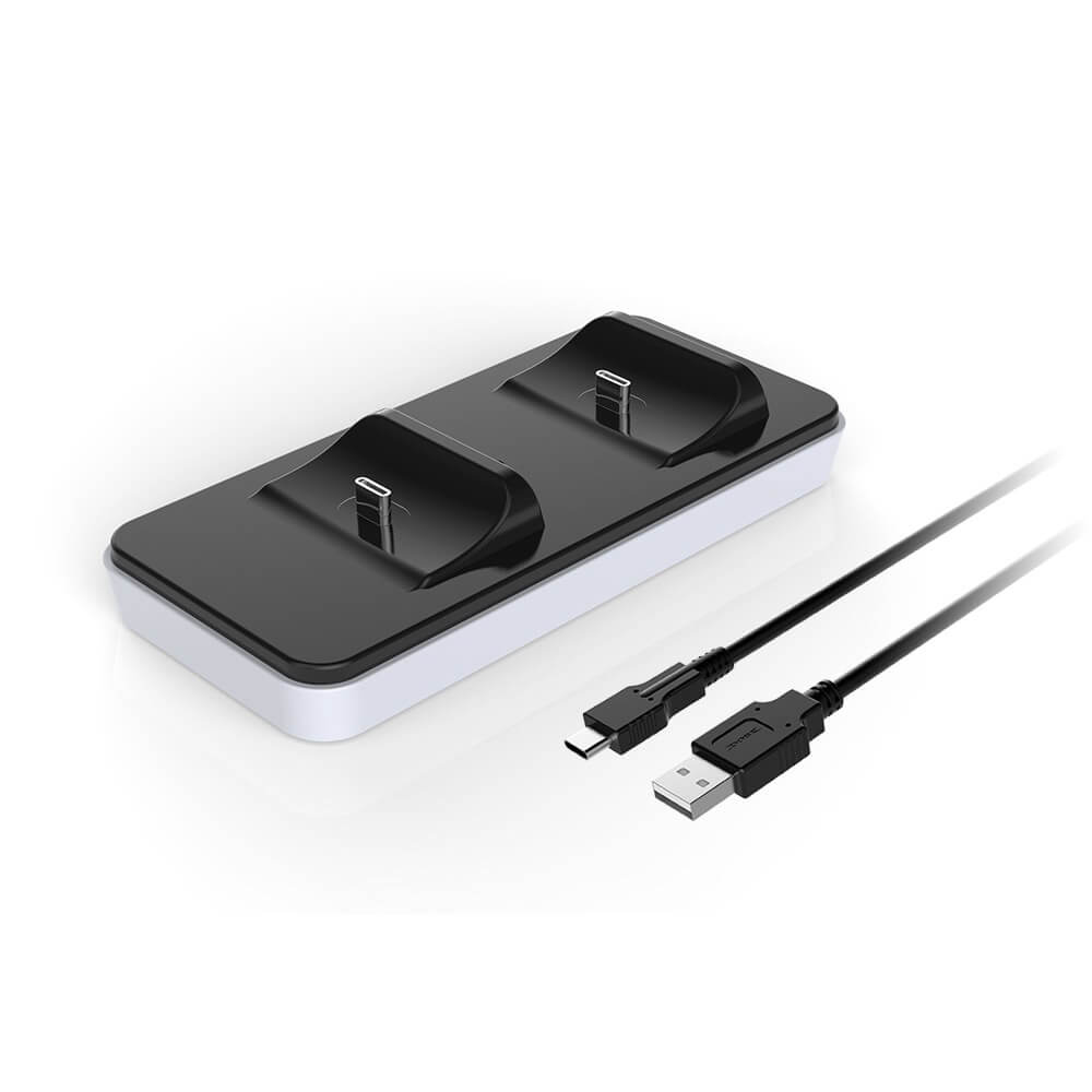 RAPTOR - Charger for Controller Dual