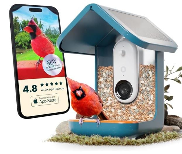 BirdBuddy - Smart Bird Feeder 2