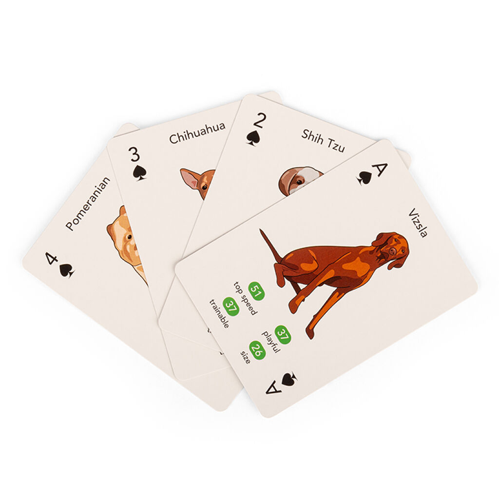 Kikkerland - Paws & Play Playing
