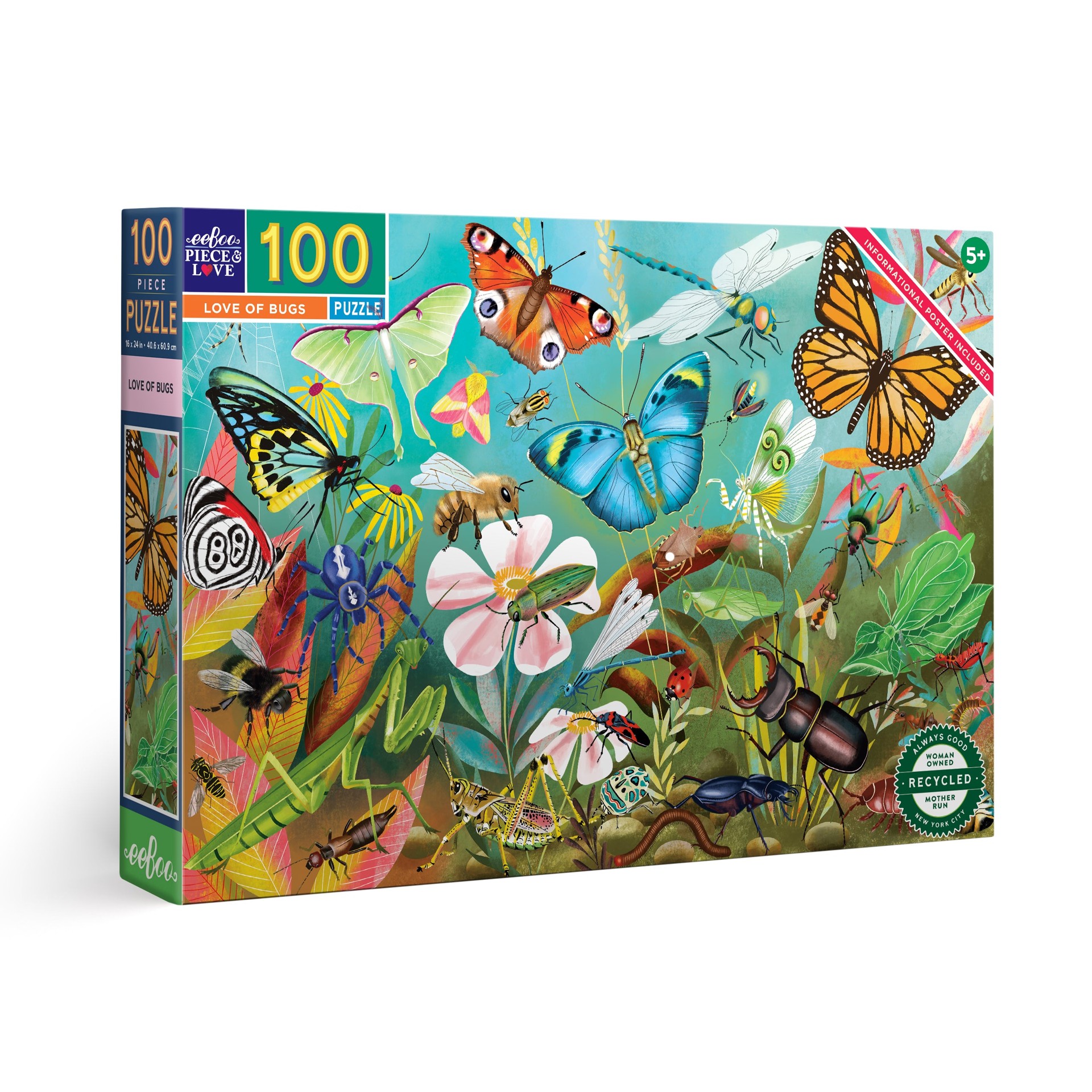 EeBoo - Puzzle 100 pcs -